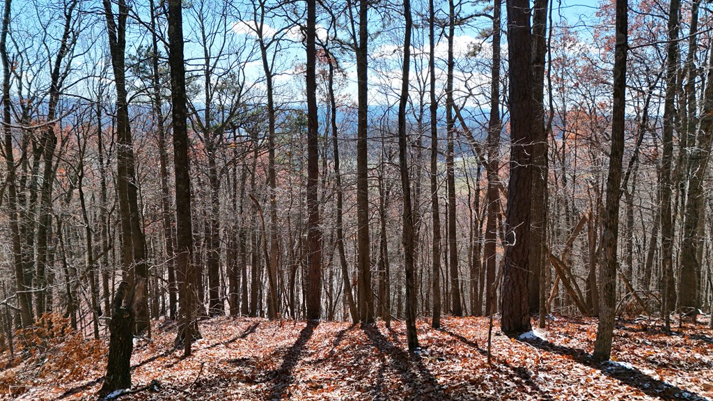 TBD Nebo Mountain Rd.