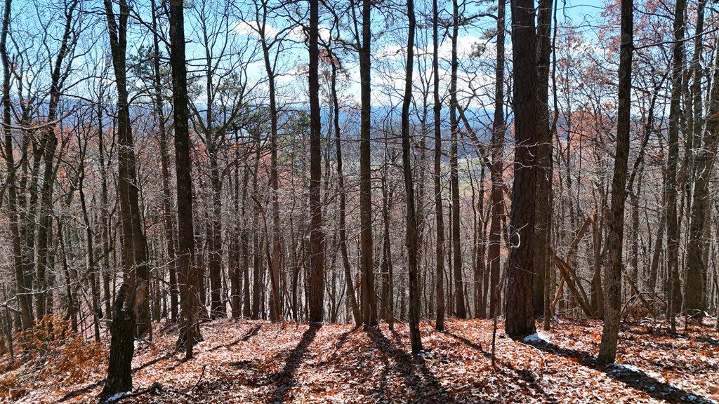 Photo of TBD Nebo Mountain Rd #multiple, Atkins, VA 24311 (MLS # 104103)