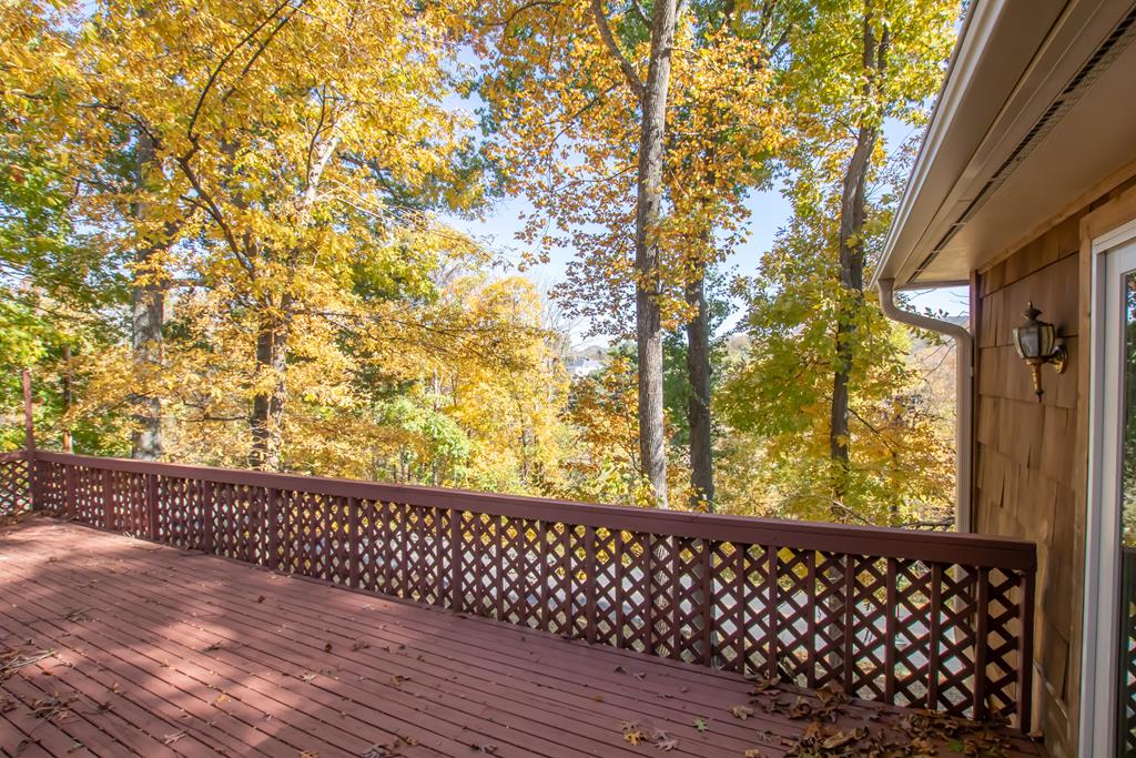 Marion, Virginia 24354, United States, 3 Bedrooms Bedrooms, ,3 BathroomsBathrooms,Residential,Active,69650