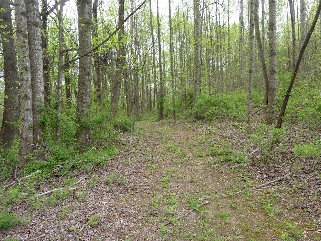Photo of TBD Pinnacle Point Ln #3, Meadows of Dan, VA 24120 (MLS # 99491)