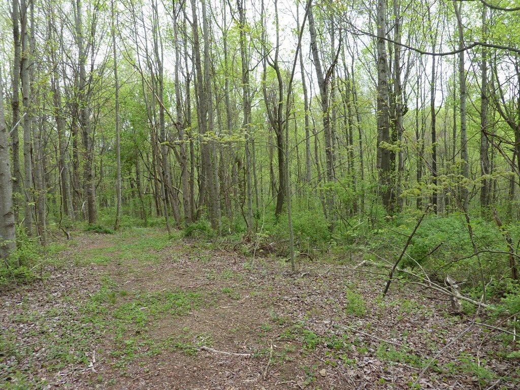 Photo of TBD Pinnacle Point Ln #3, Meadows of Dan, VA 24120 (MLS # 99491)