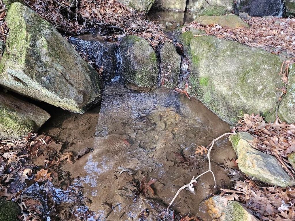 Photo of TBD Excelsior School Rd #0, Laurel Fork, VA 24352 (MLS # 104609)