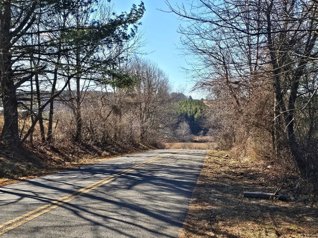 Photo of TBD Excelsior School Rd #0, Laurel Fork, VA 24352 (MLS # 104609)