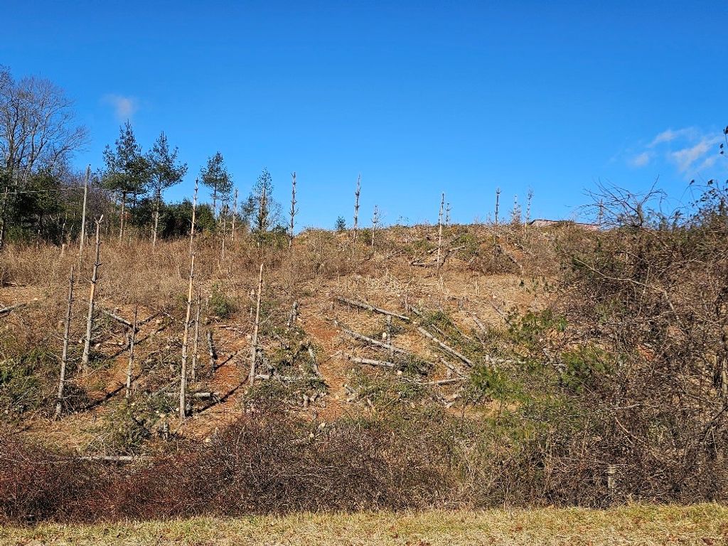 Photo of TBD Excelsior School Rd #0, Laurel Fork, VA 24352 (MLS # 104609)