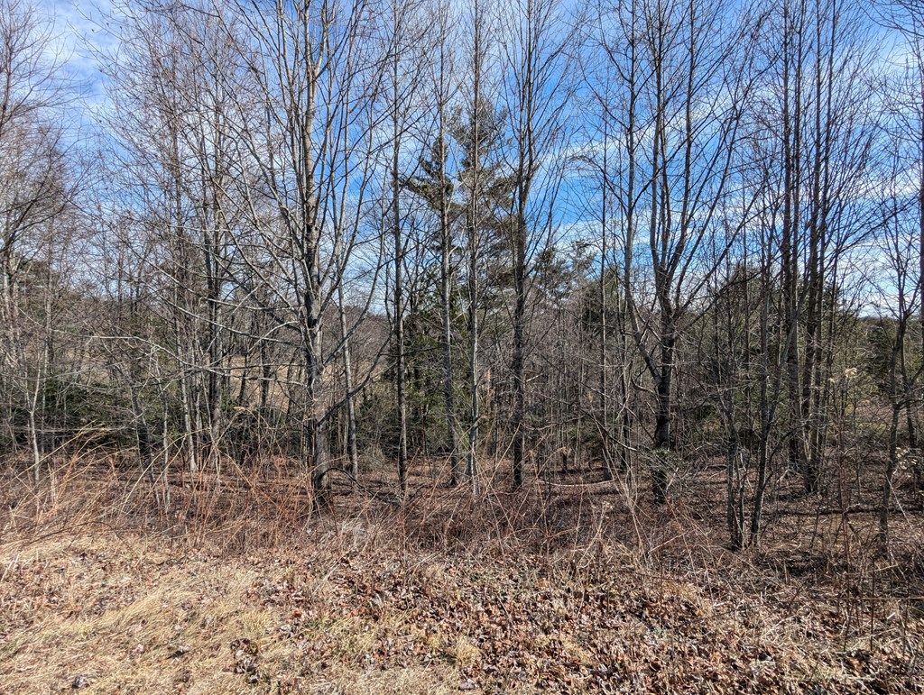 Photo of TBD Continental Dr #6, Hillsville, VA 24343 (MLS # 109142)