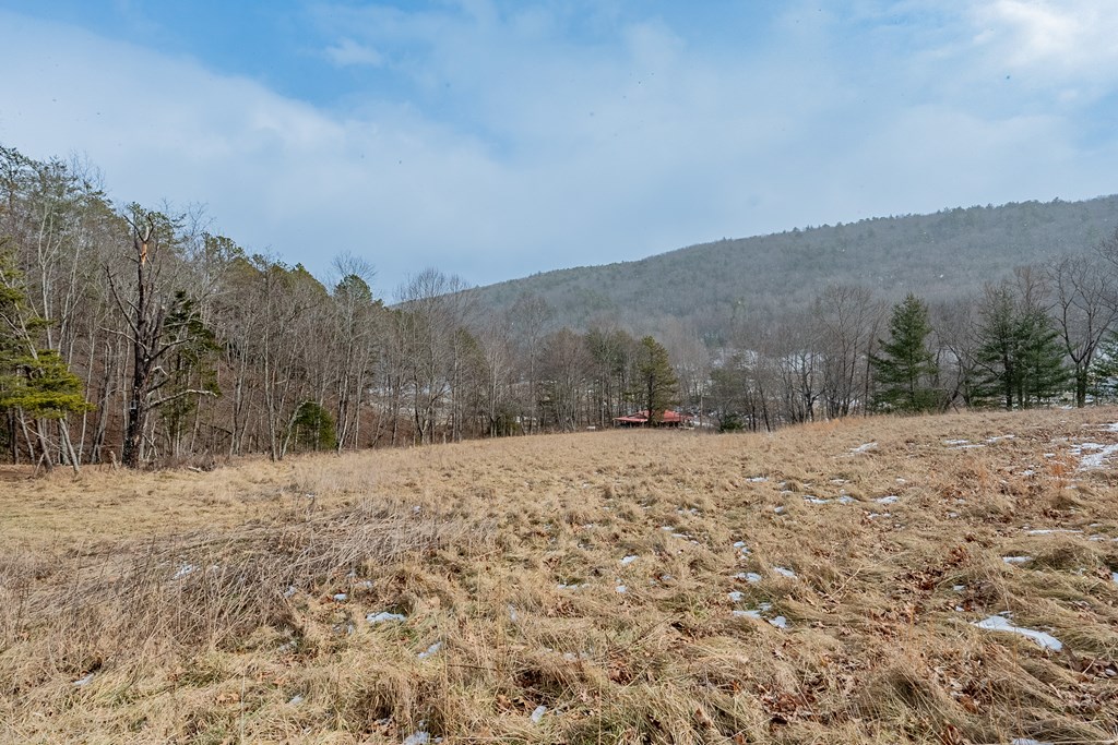 Dublin, Virginia 24084, United States, ,Land,Contingent,13630