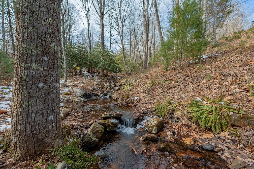 Dublin, Virginia 24084, United States, ,Land,Contingent,13630