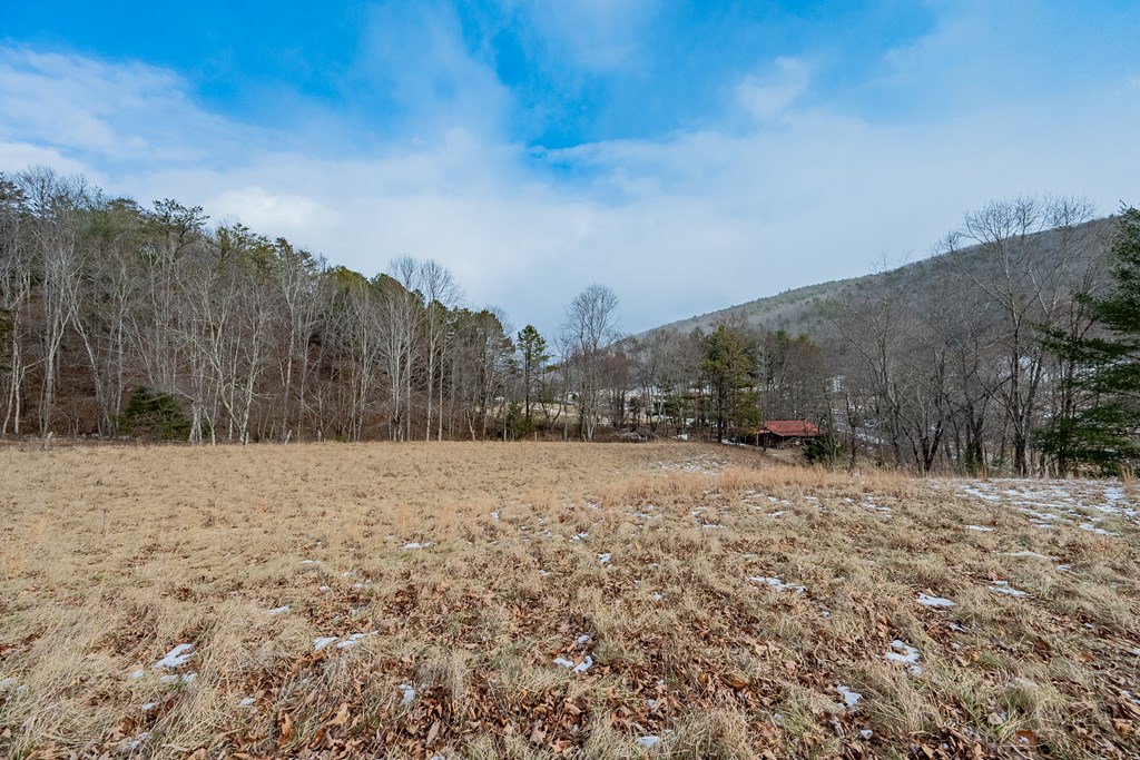 Dublin, Virginia 24084, United States, ,Land,Contingent,13630