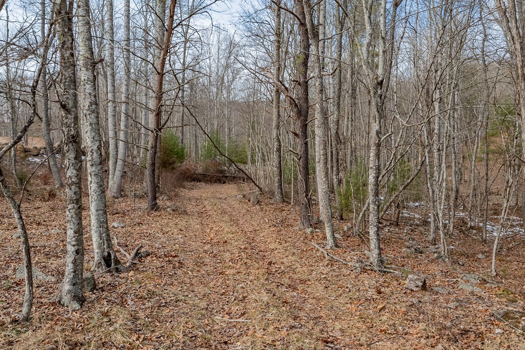 Dublin, Virginia 24084, United States, ,Land,Contingent,13630
