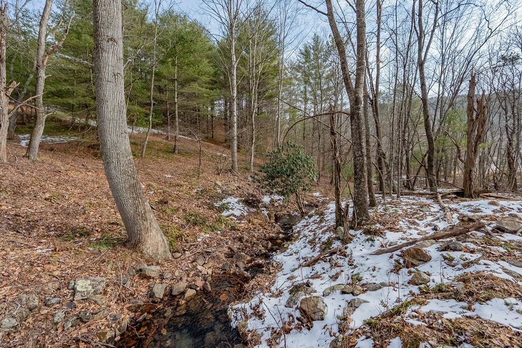 Dublin, Virginia 24084, United States, ,Land,Contingent,13630