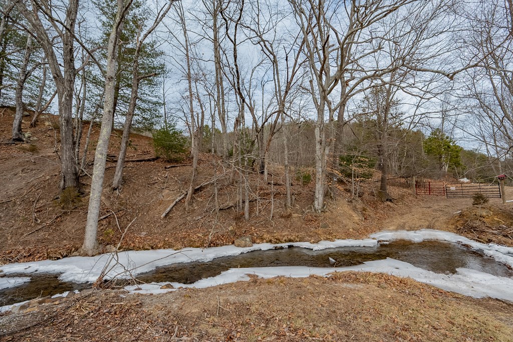 Dublin, Virginia 24084, United States, ,Land,Contingent,13630