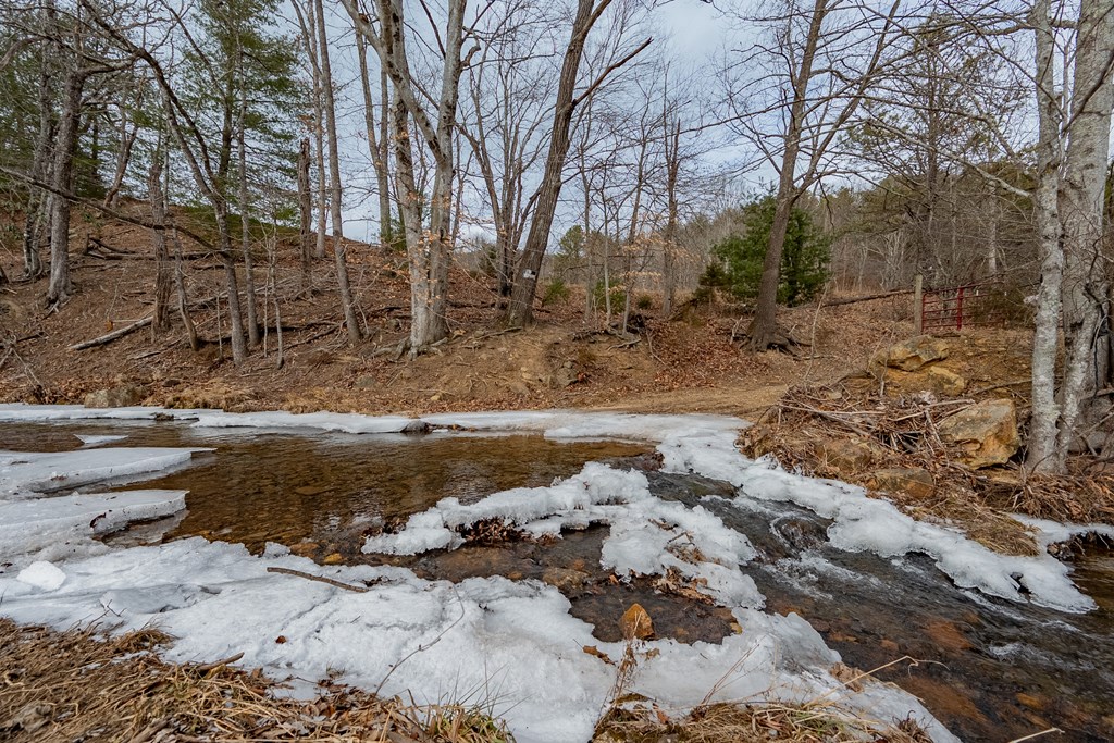 Dublin, Virginia 24084, United States, ,Land,Contingent,13630