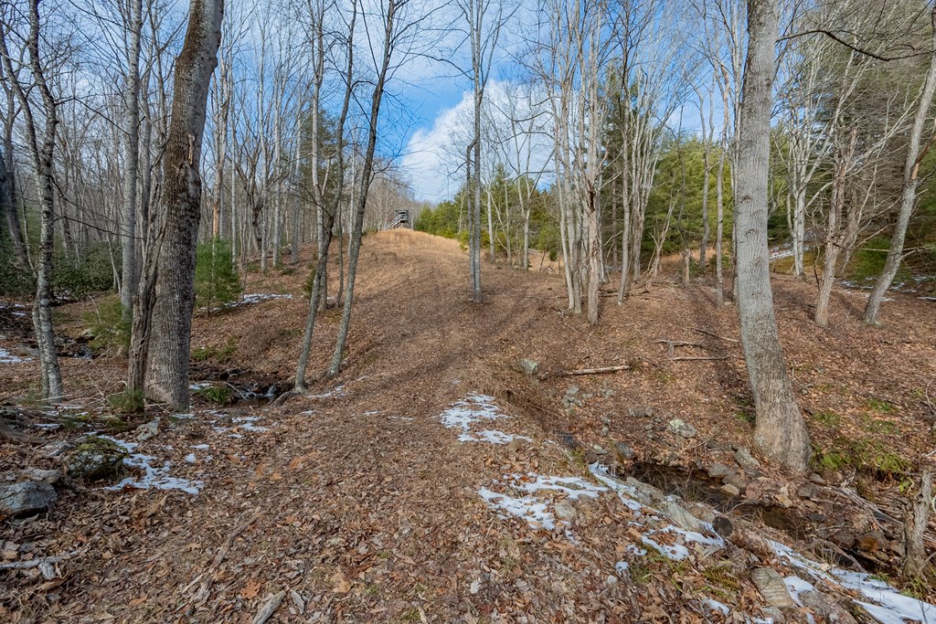 Dublin, Virginia 24084, United States, ,Land,Contingent,13630