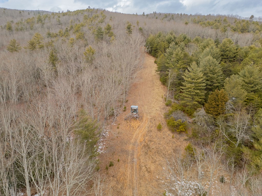 Dublin, Virginia 24084, United States, ,Land,Contingent,13630