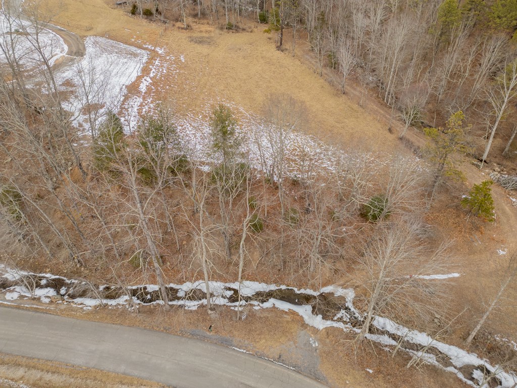 Dublin, Virginia 24084, United States, ,Land,Contingent,13630