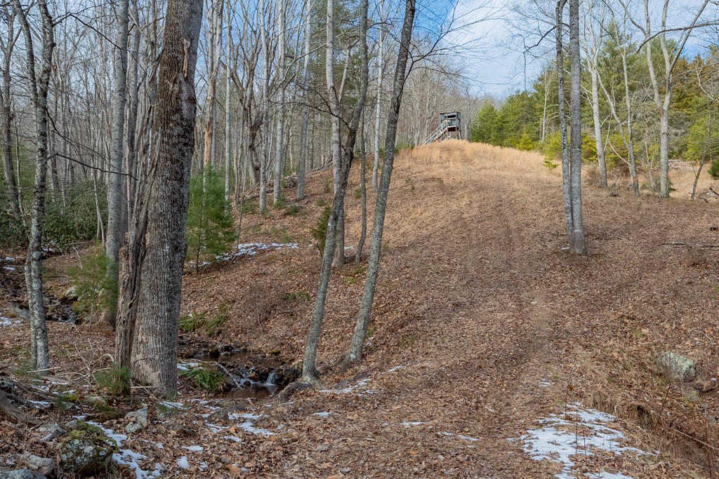 Dublin, Virginia 24084, United States, ,Land,Contingent,13630