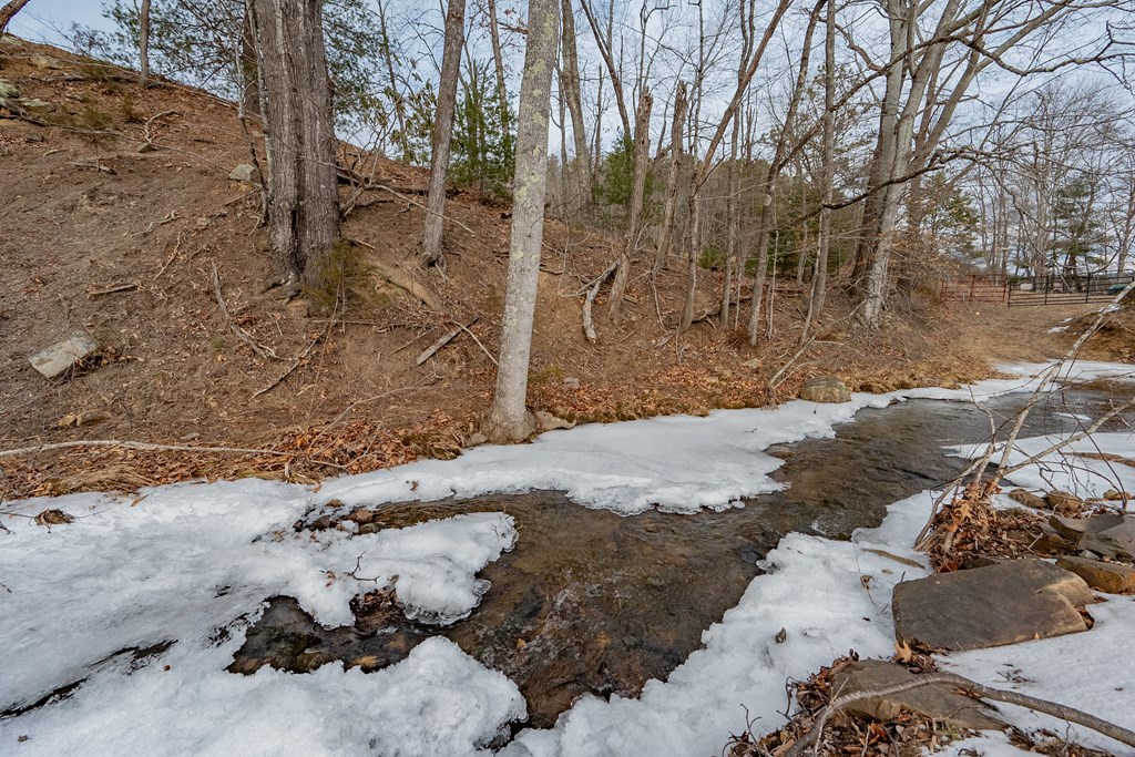 Dublin, Virginia 24084, United States, ,Land,Contingent,13630