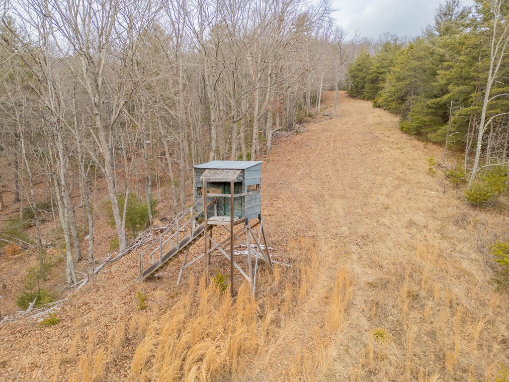 Dublin, Virginia 24084, United States, ,Land,Contingent,13630