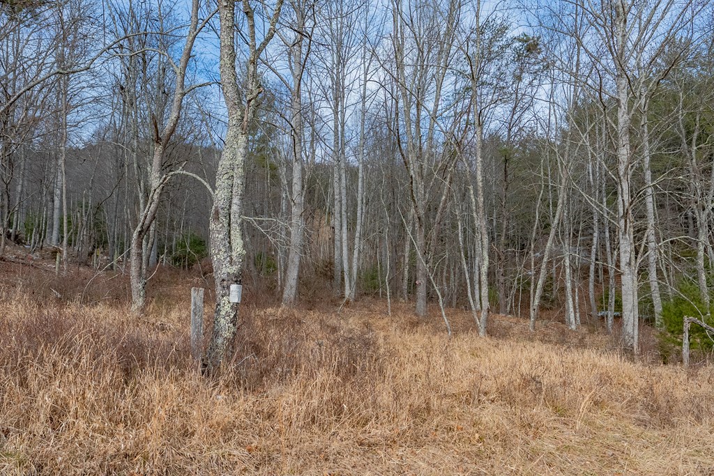 Dublin, Virginia 24084, United States, ,Land,Contingent,13630
