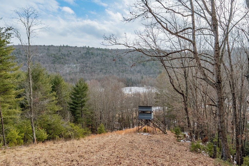 Dublin, Virginia 24084, United States, ,Land,Contingent,13630