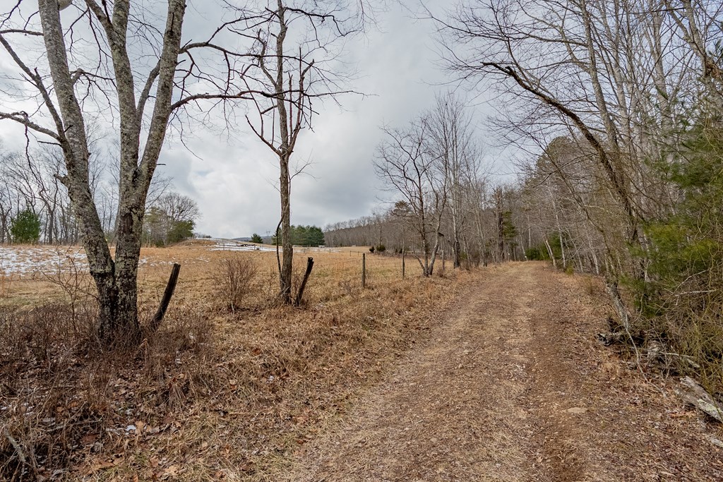 Dublin, Virginia 24084, United States, ,Land,Contingent,13630