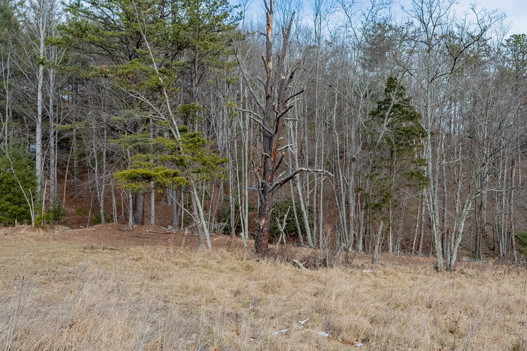 Dublin, Virginia 24084, United States, ,Land,Contingent,13630