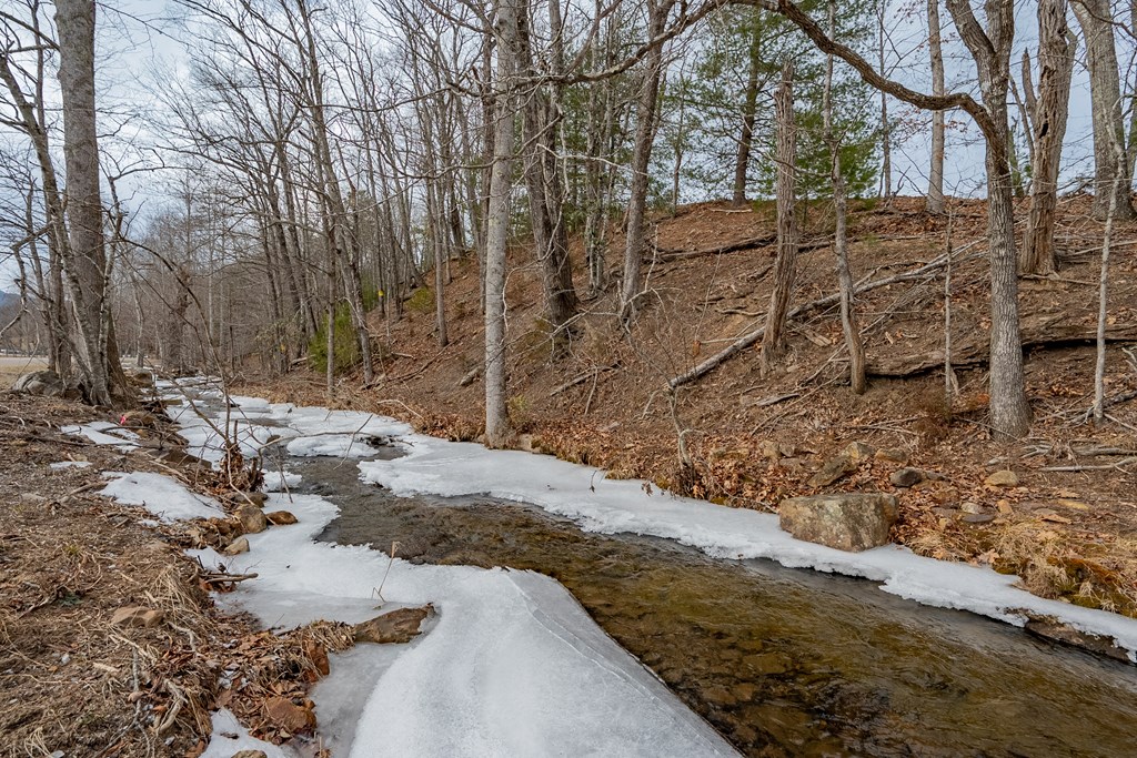 Dublin, Virginia 24084, United States, ,Land,Contingent,13630