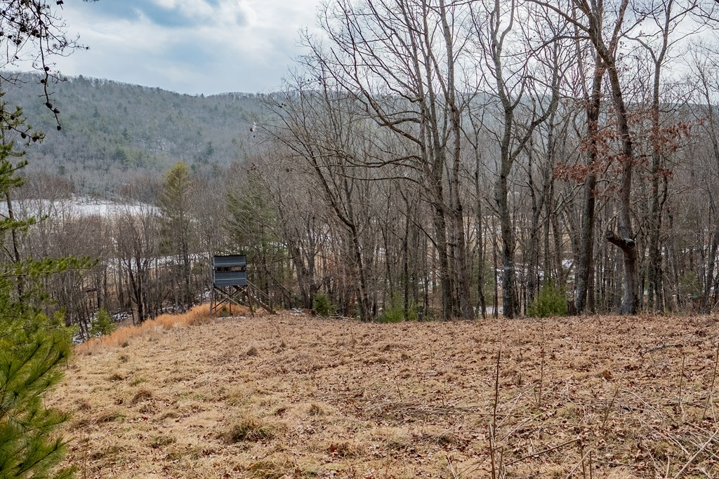 Dublin, Virginia 24084, United States, ,Land,Contingent,13630