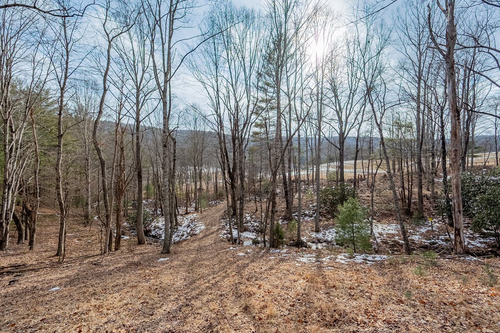 Dublin, Virginia 24084, United States, ,Land,Contingent,13630