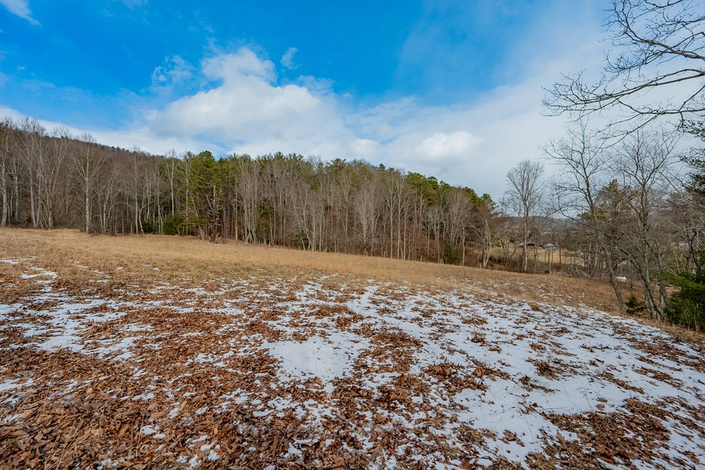 Dublin, Virginia 24084, United States, ,Land,Contingent,13630