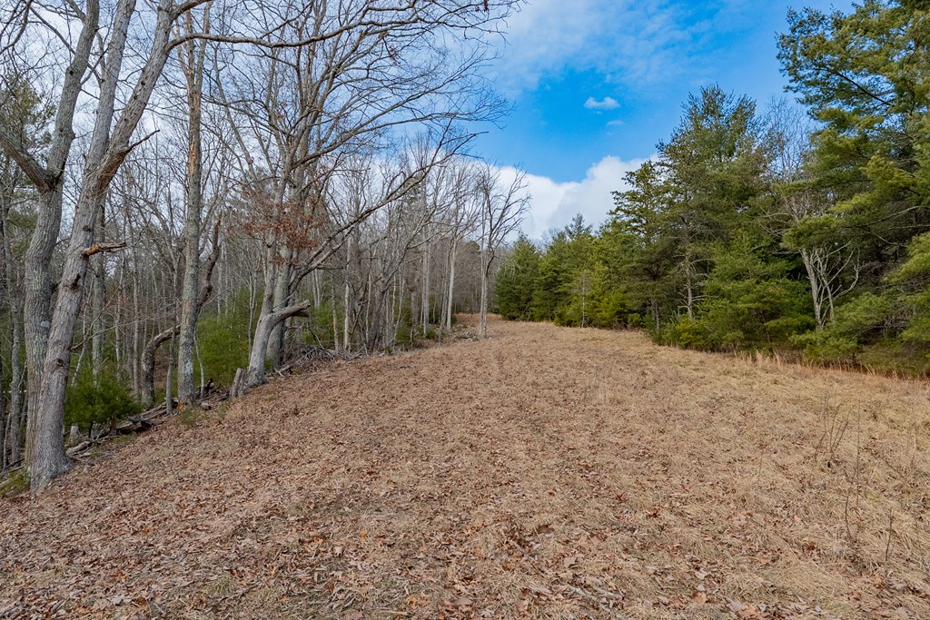 Dublin, Virginia 24084, United States, ,Land,Contingent,13630