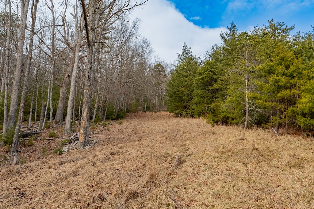 Dublin, Virginia 24084, United States, ,Land,Contingent,13630