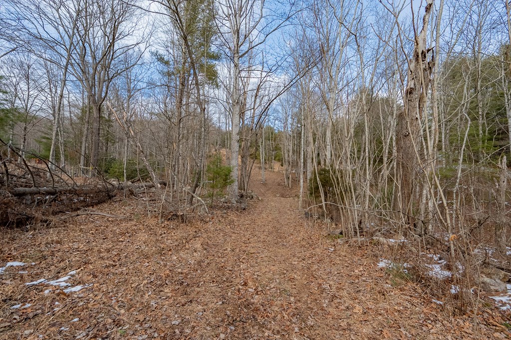 Dublin, Virginia 24084, United States, ,Land,Contingent,13630