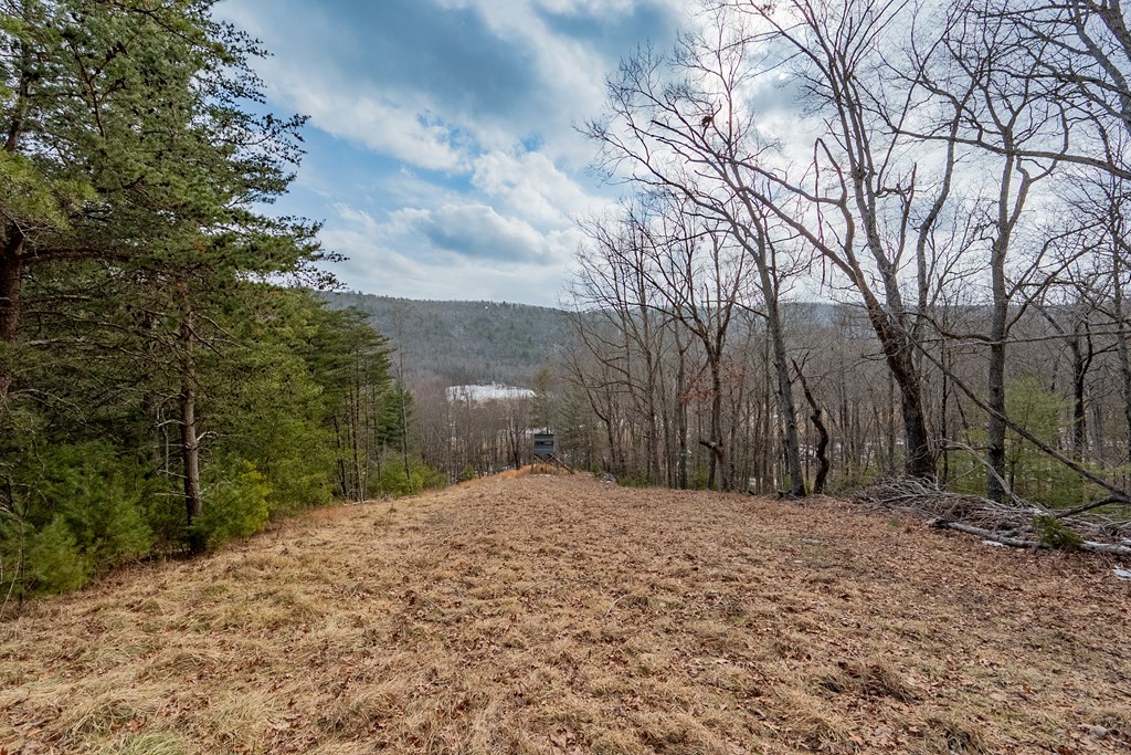 Dublin, Virginia 24084, United States, ,Land,Contingent,13630