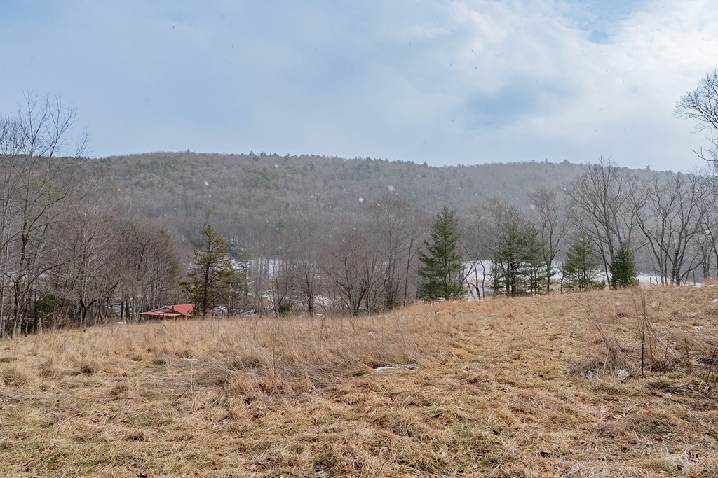 Dublin, Virginia 24084, United States, ,Land,Contingent,13630