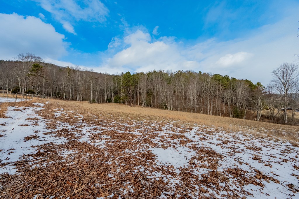 Dublin, Virginia 24084, United States, ,Land,Contingent,13630