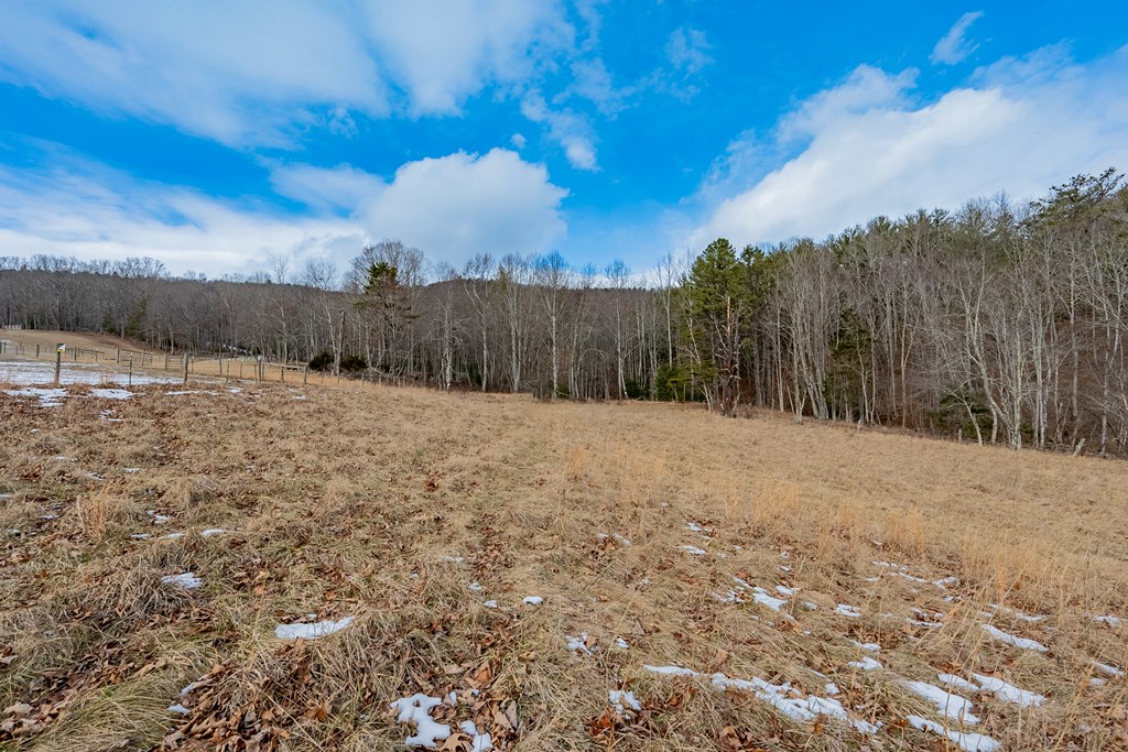 Dublin, Virginia 24084, United States, ,Land,Contingent,13630