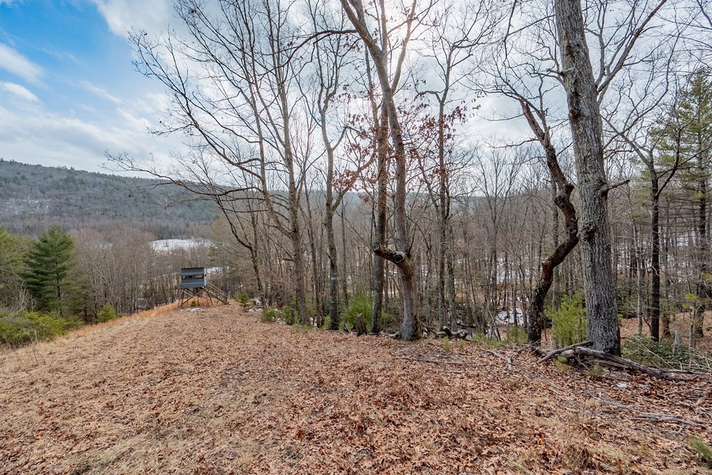 Dublin, Virginia 24084, United States, ,Land,Contingent,13630