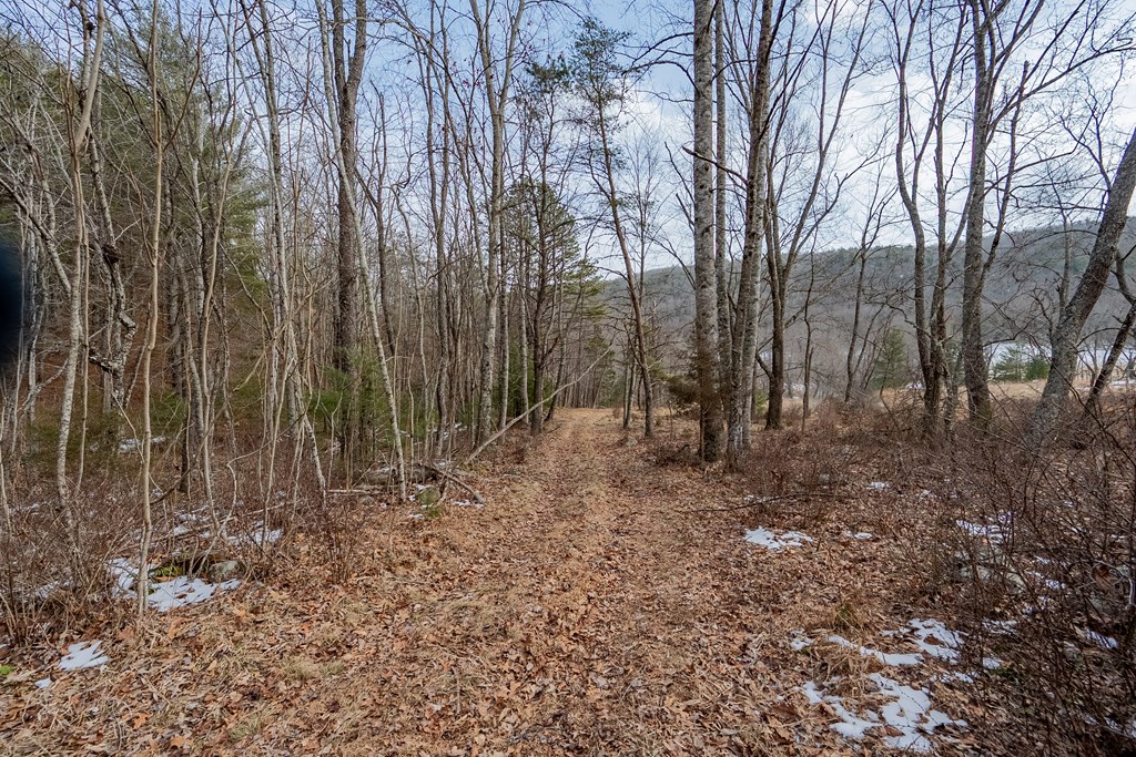 Dublin, Virginia 24084, United States, ,Land,Contingent,13630