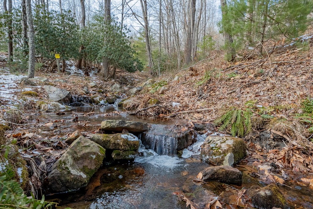 Dublin, Virginia 24084, United States, ,Land,Contingent,13630