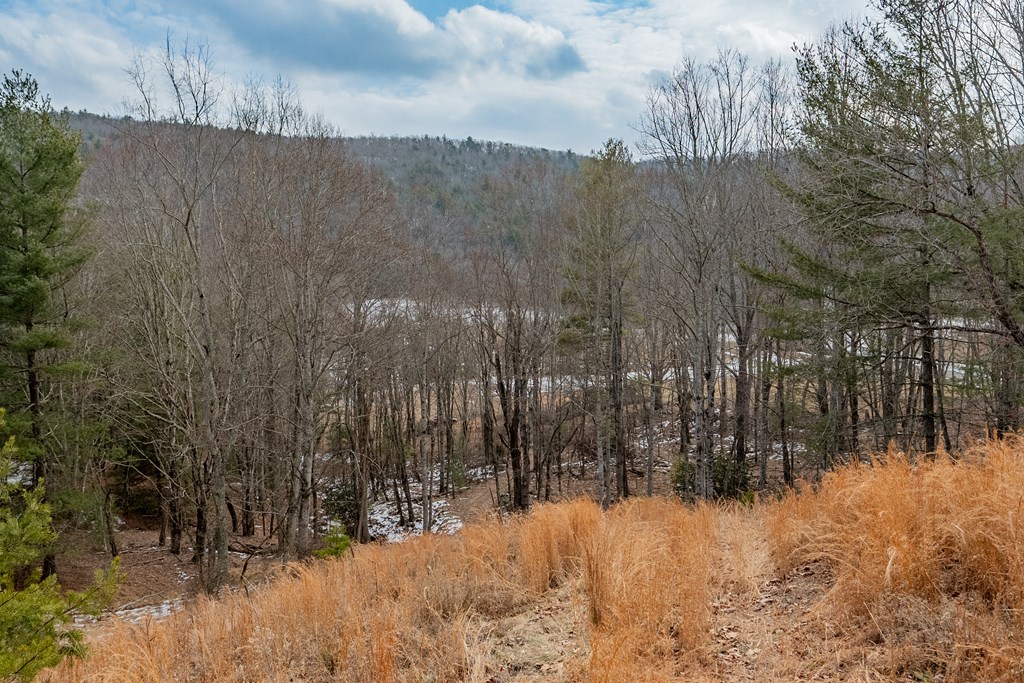 Dublin, Virginia 24084, United States, ,Land,Contingent,13630