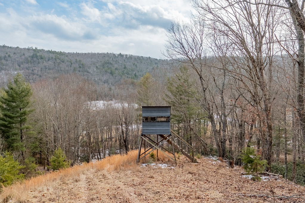 Dublin, Virginia 24084, United States, ,Land,Contingent,13630