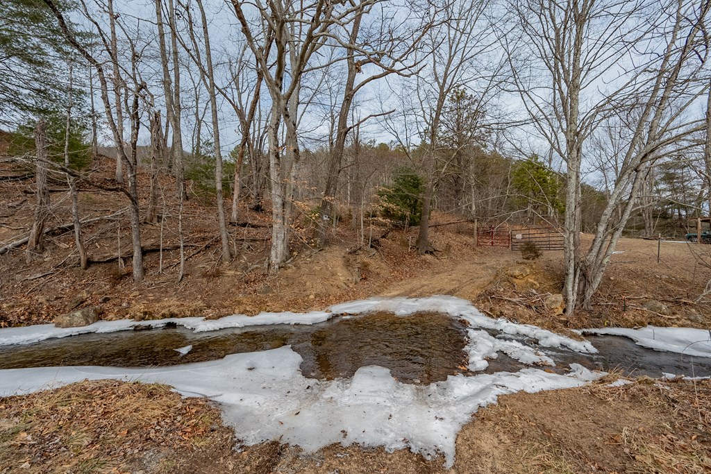 Dublin, Virginia 24084, United States, ,Land,Contingent,13630