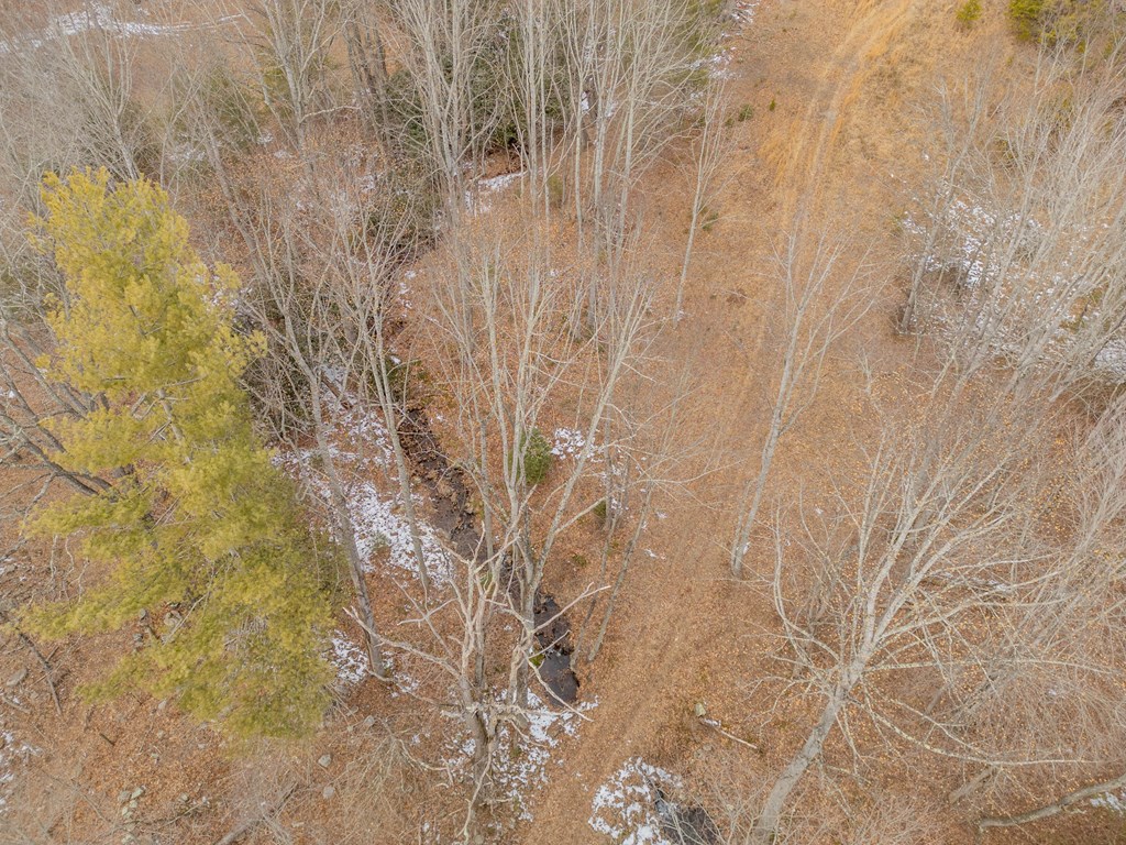 Dublin, Virginia 24084, United States, ,Land,Contingent,13630