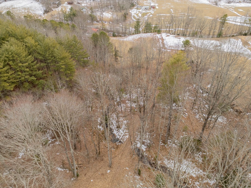 Dublin, Virginia 24084, United States, ,Land,Contingent,13630