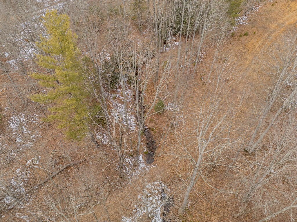 Dublin, Virginia 24084, United States, ,Land,Contingent,13630