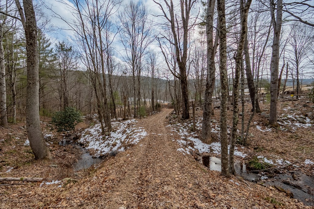 Dublin, Virginia 24084, United States, ,Land,Contingent,13630