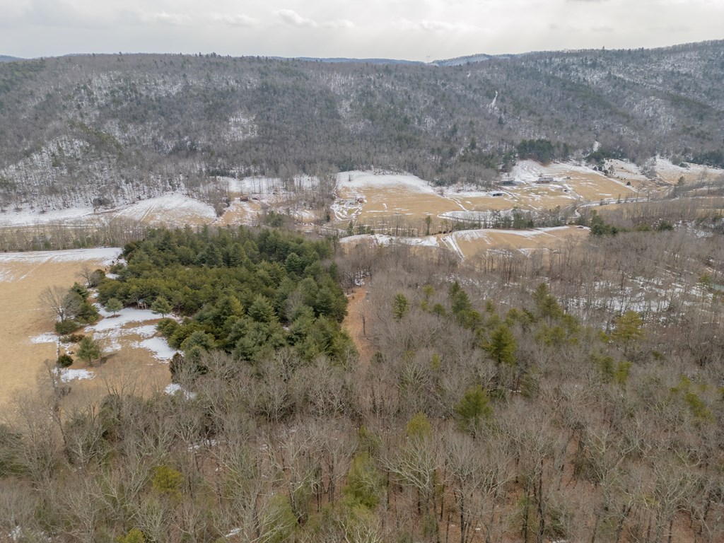 Dublin, Virginia 24084, United States, ,Land,Contingent,13630