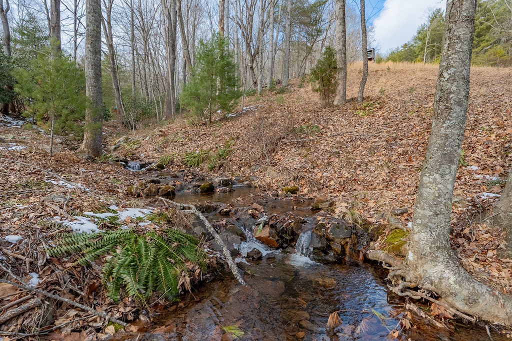 Dublin, Virginia 24084, United States, ,Land,Contingent,13630