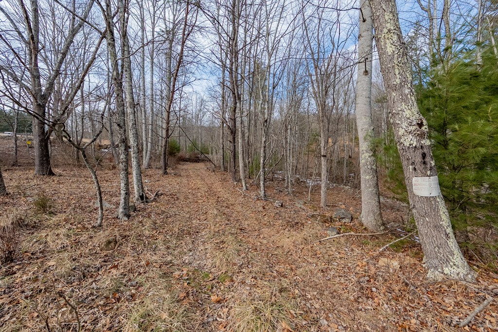 Dublin, Virginia 24084, United States, ,Land,Contingent,13630